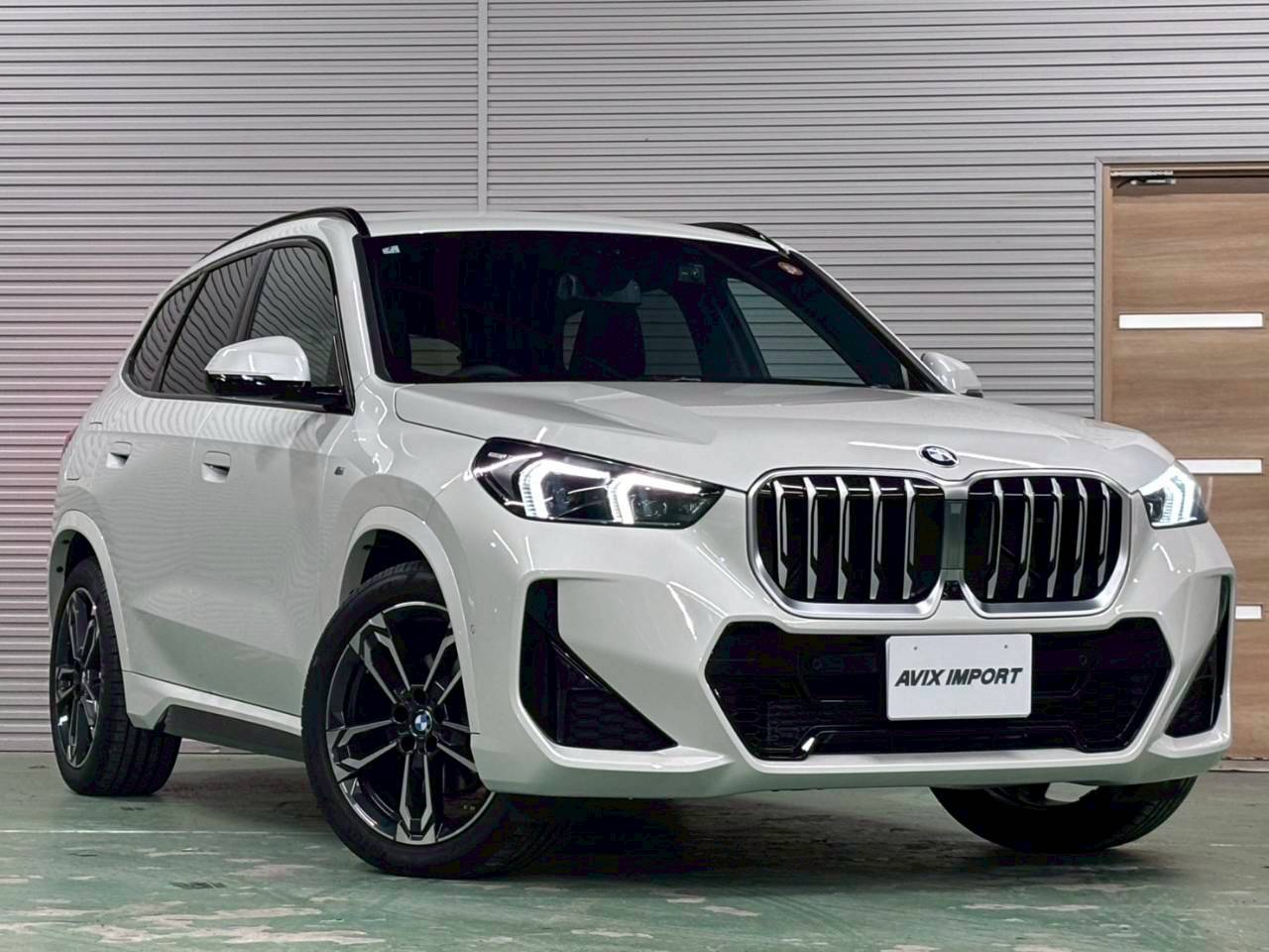 BMW X1 xﾄﾞﾗｲﾌﾞ 20i Mｽﾎﾟｰﾂ ﾃｸﾉﾛｼﾞｰPKG ﾊｲﾗｲﾝPKG